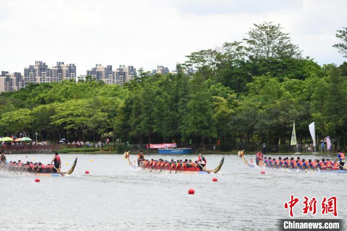 21支龙舟队在惠州金山湖公园挥桨，开启以“龙游